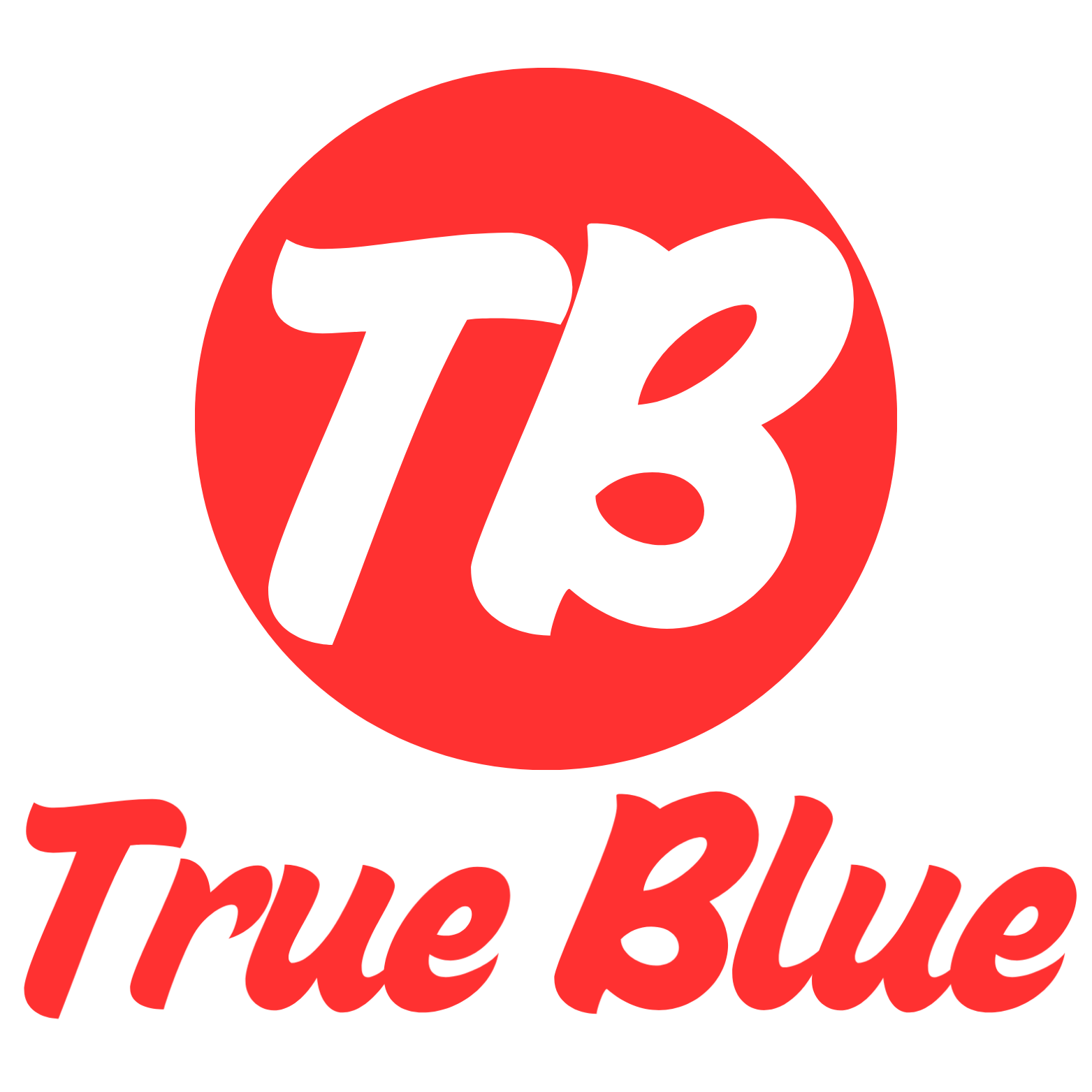 True Blue IT Services